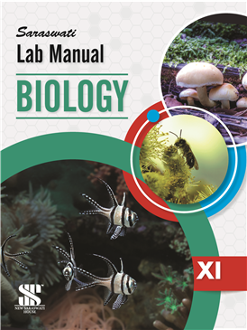 Lab Manual Biology